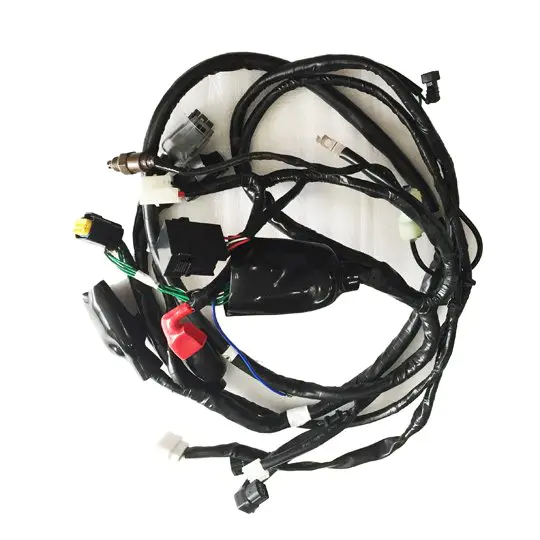 Spacy100cc Motorcycle Wire Harness